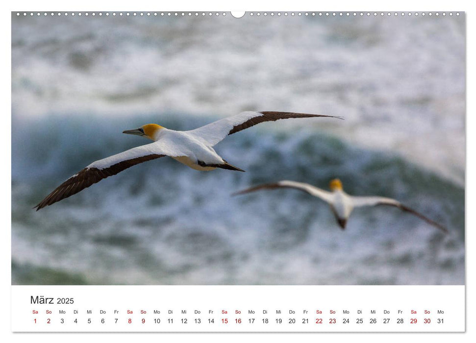 Neuseeland - Natur pur am anderen Ende der Welt (CALVENDO Premium Wandkalender 2025)