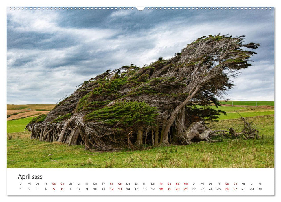 Neuseeland - Natur pur am anderen Ende der Welt (CALVENDO Premium Wandkalender 2025)