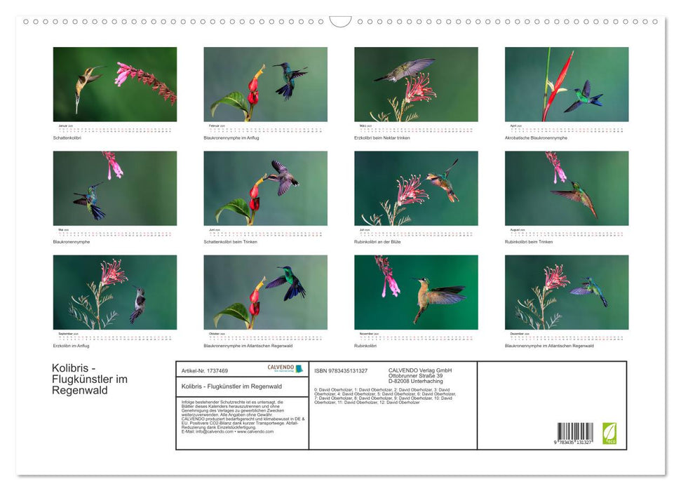 Kolibris - Flugkünstler im Regenwald (CALVENDO Wandkalender 2025)