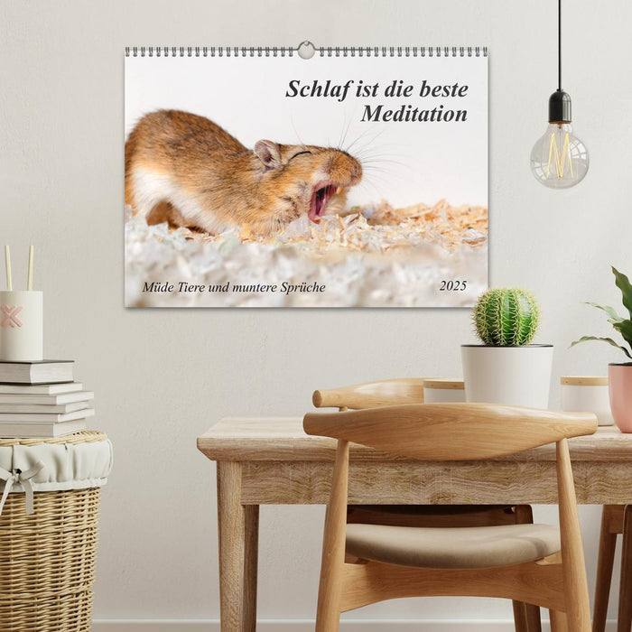 Schlaf ist die beste Meditation (CALVENDO Wandkalender 2025)