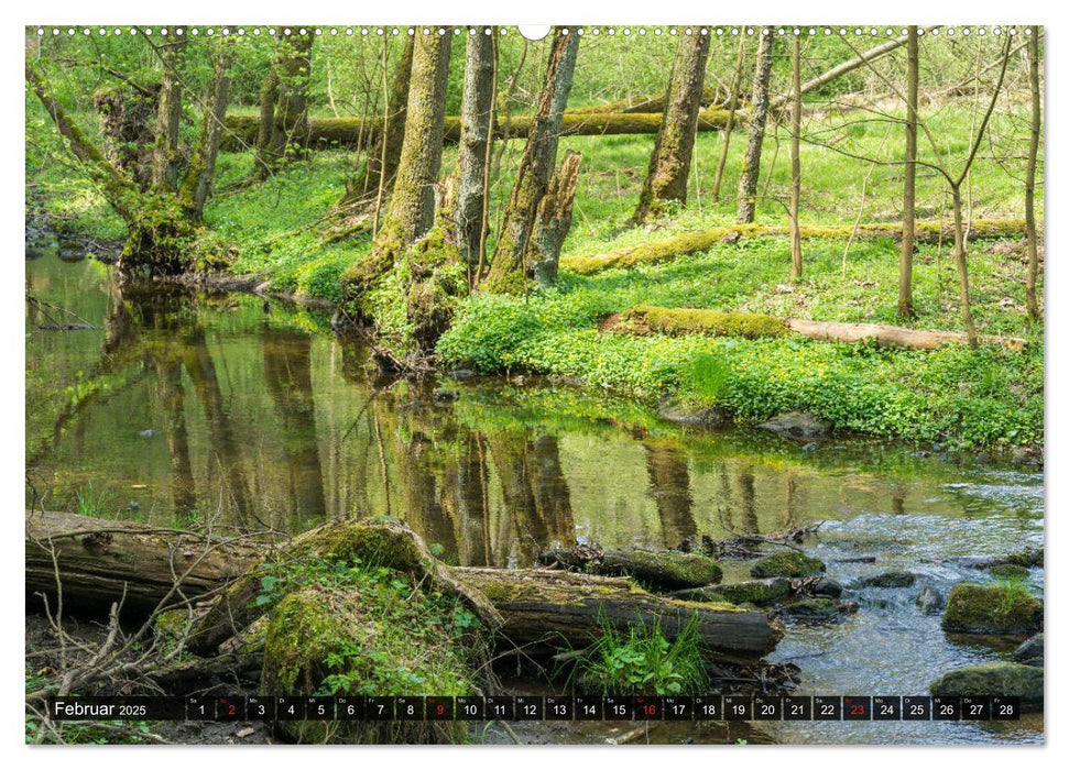 Mühltal Eisenberg (CALVENDO Wandkalender 2025)