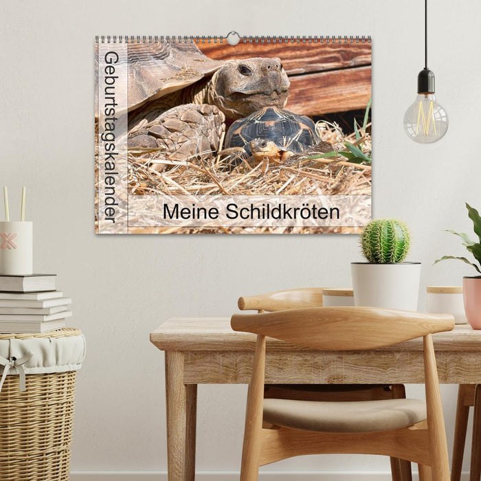 Meine Schildkröten - Geburtstagskalender (CALVENDO Wandkalender 2025)