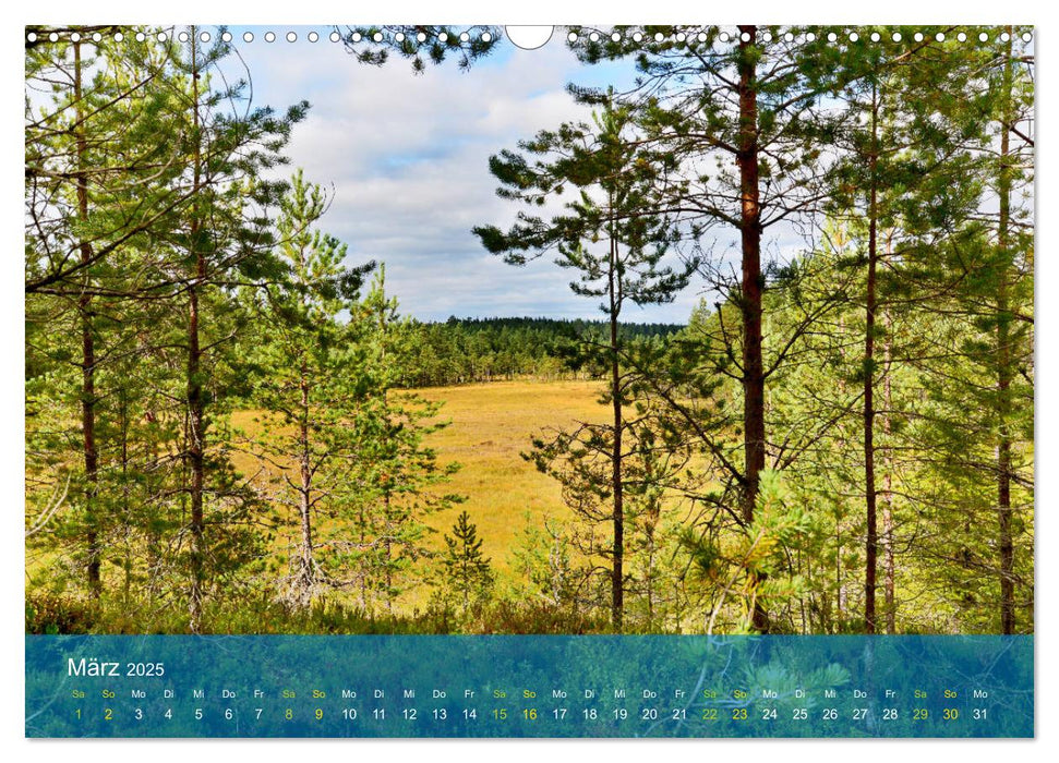 Zauberhaftes Värmland (CALVENDO Wandkalender 2025)