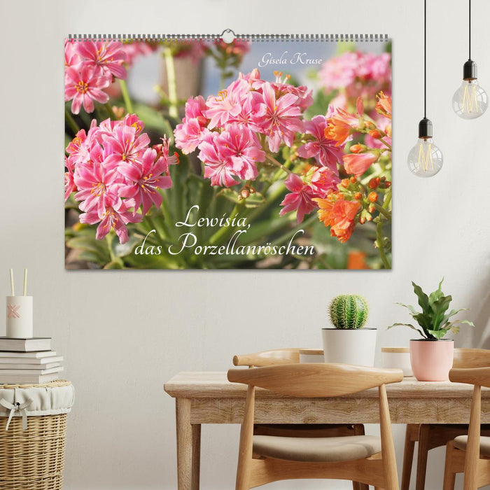 Lewisia, das Porzellanröschen (CALVENDO Wandkalender 2025)