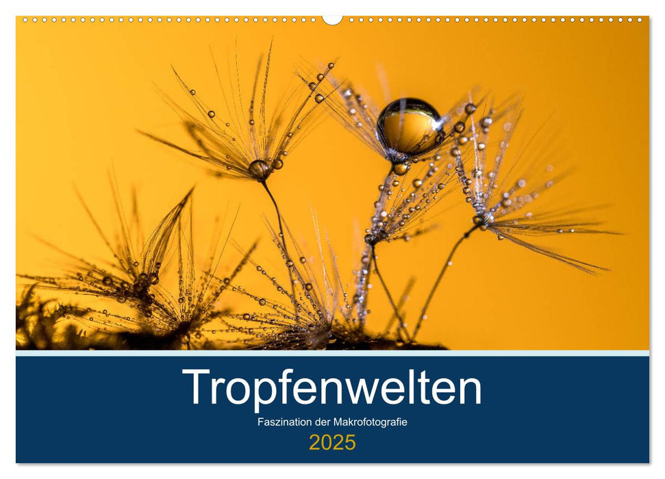 Tropfenwelten; Faszination der Makrofotografie (CALVENDO Wandkalender 2025)