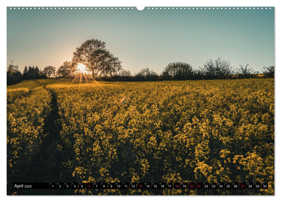 Das Münsterland - Meine Impressionen (CALVENDO Premium Wandkalender 2025)