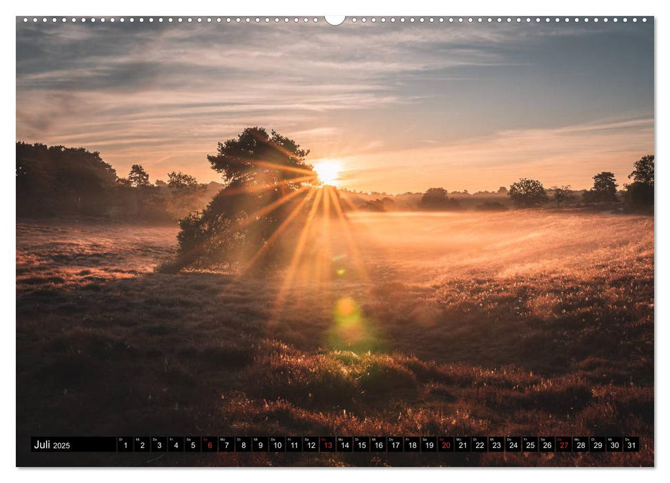 Das Münsterland - Meine Impressionen (CALVENDO Premium Wandkalender 2025)