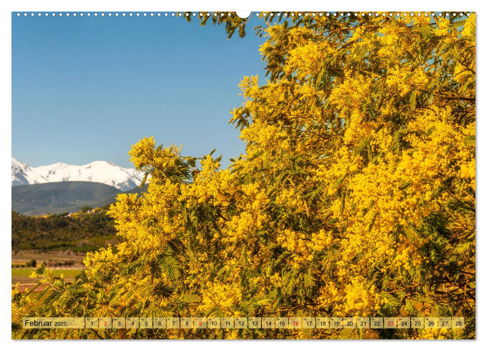 Pyrénées-Orientales. Naturschön: Frankreichs Perle im Süden (CALVENDO Premium Wandkalender 2025)