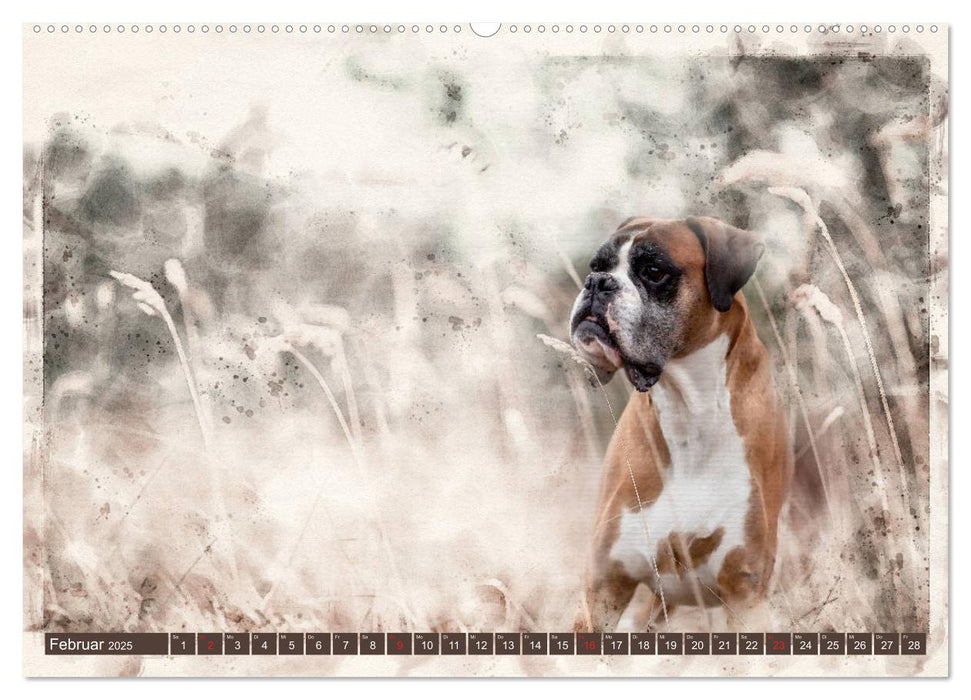 Boxer Photo&Kunst (CALVENDO Premium Wandkalender 2025)