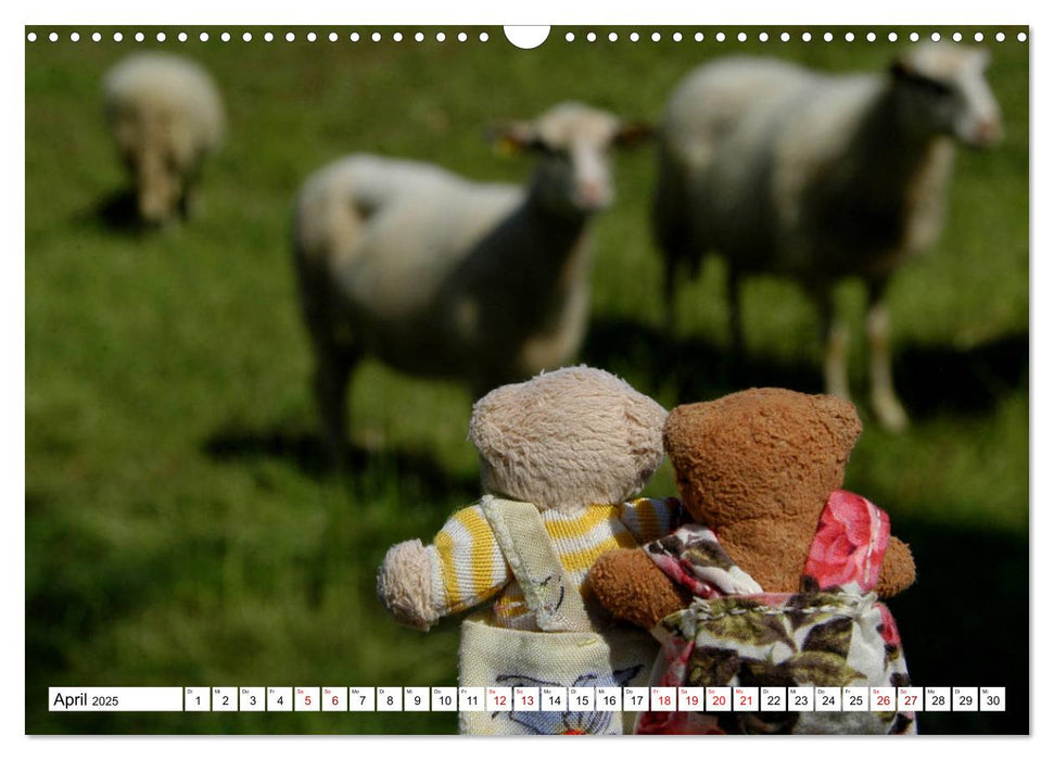 Die kleine Welt der Teddybärchen (CALVENDO Wandkalender 2025)