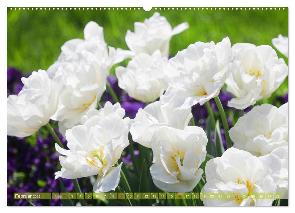 Weiße Frühlingsblüten (CALVENDO Wandkalender 2025)