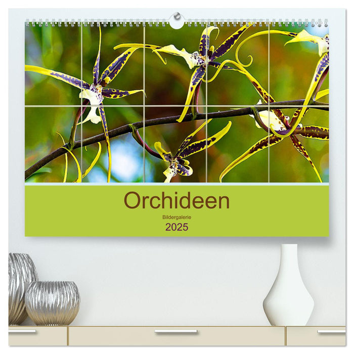 Orchideen Bildergalerie (CALVENDO Premium Wandkalender 2025)