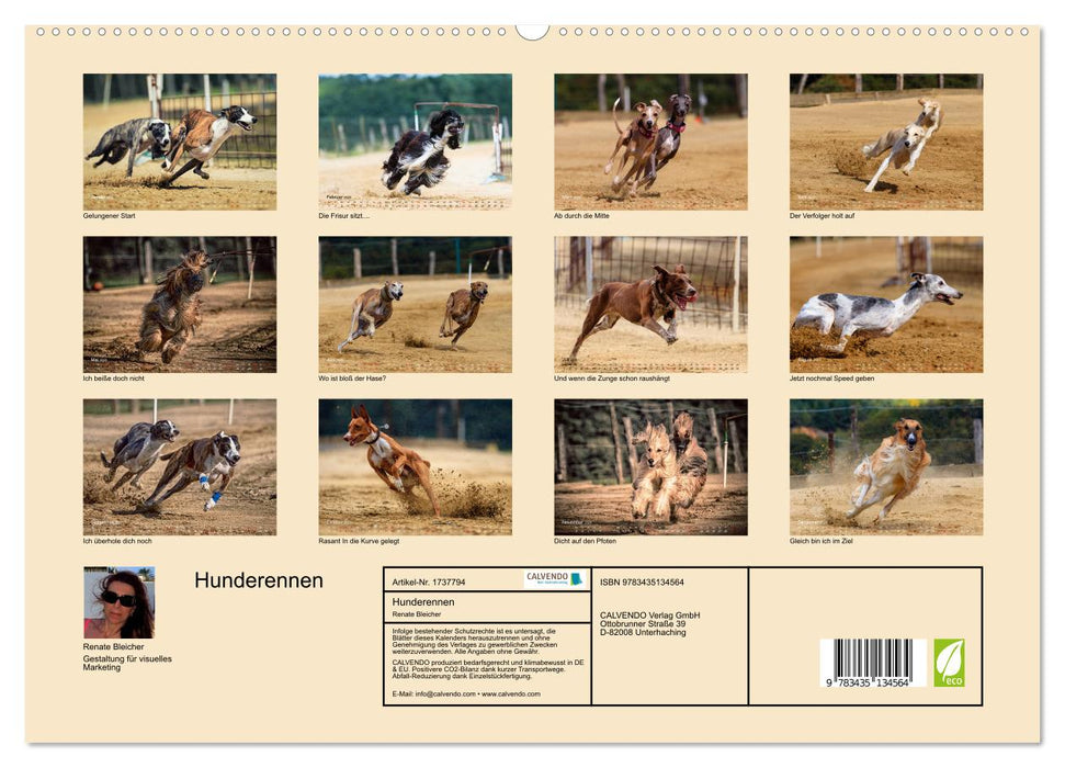 Hunderennen (CALVENDO Premium Wandkalender 2025)