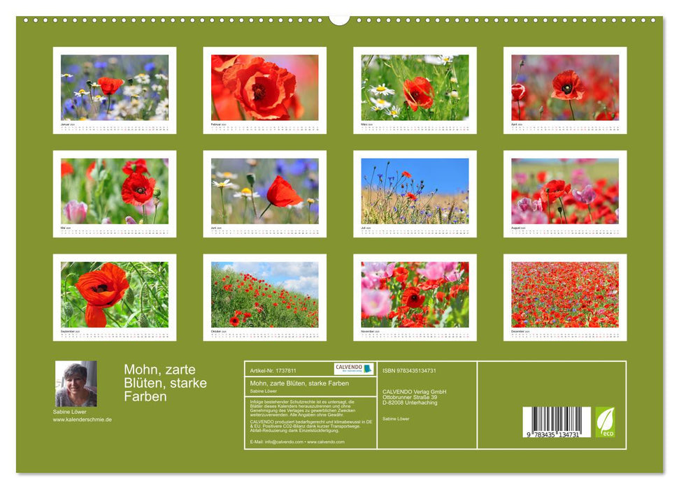 Mohn, zarte Blüten, starke Farben (CALVENDO Premium Wandkalender 2025)