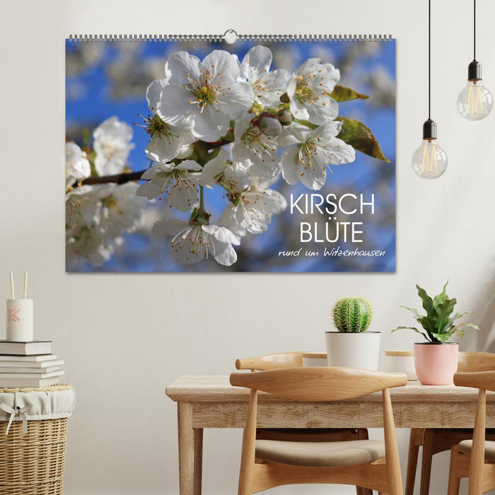 Kirschblüte rund um Witzenhausen (CALVENDO Wandkalender 2025)