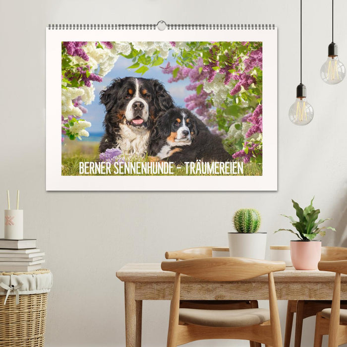 Berner Sennenhunde - Träumereien (CALVENDO Wandkalender 2025)