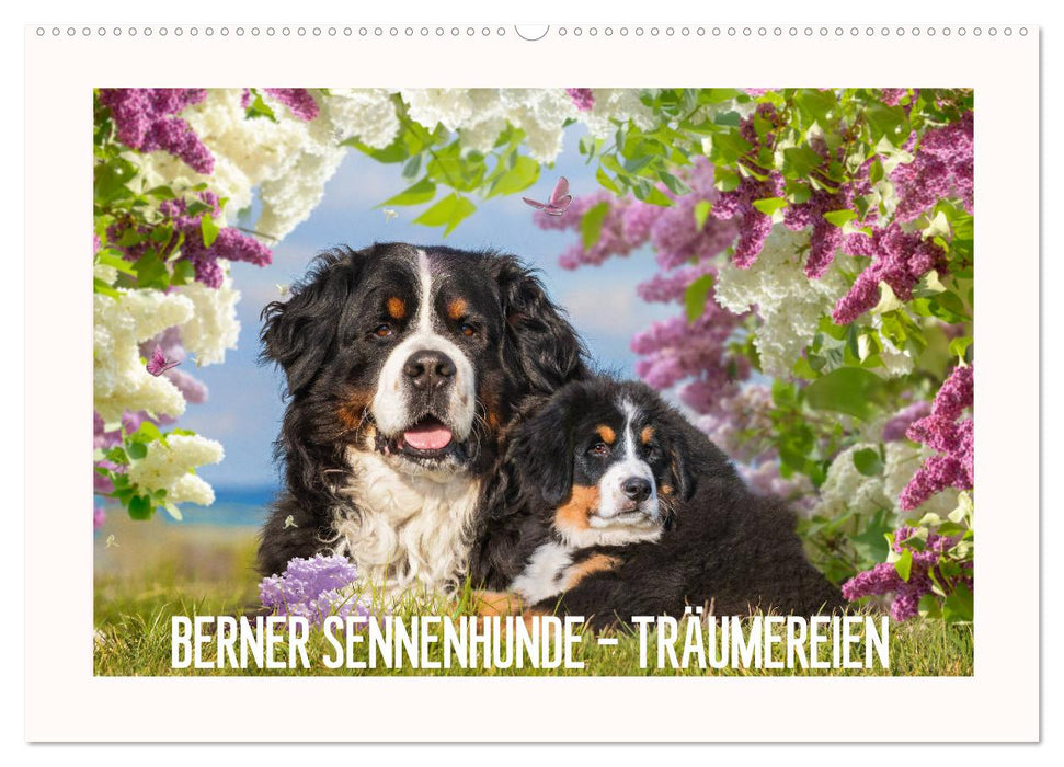 Berner Sennenhunde - Träumereien (CALVENDO Wandkalender 2025)