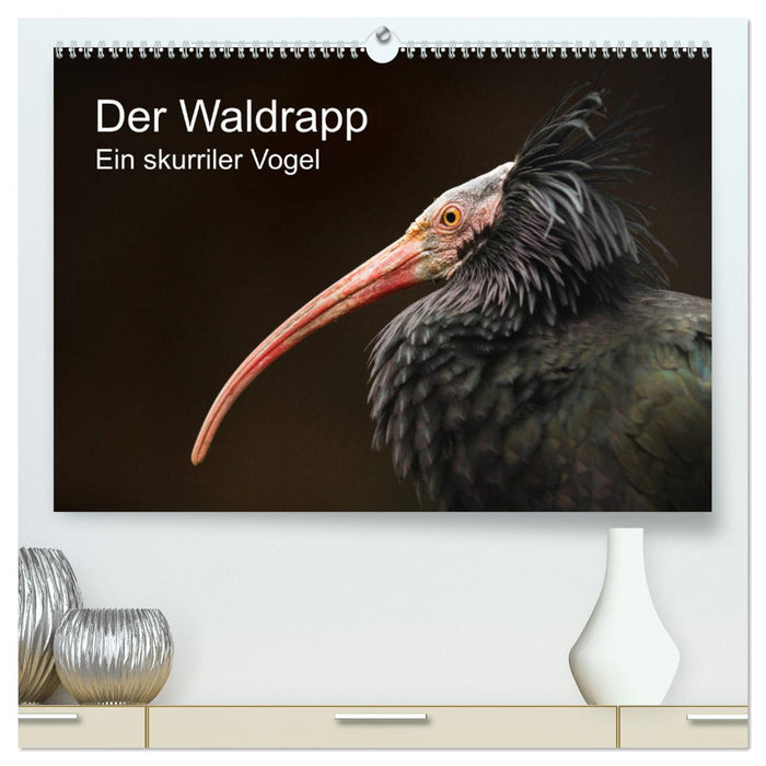 Der Waldrapp - Ein skurriler Vogel (CALVENDO Premium Wandkalender 2025)