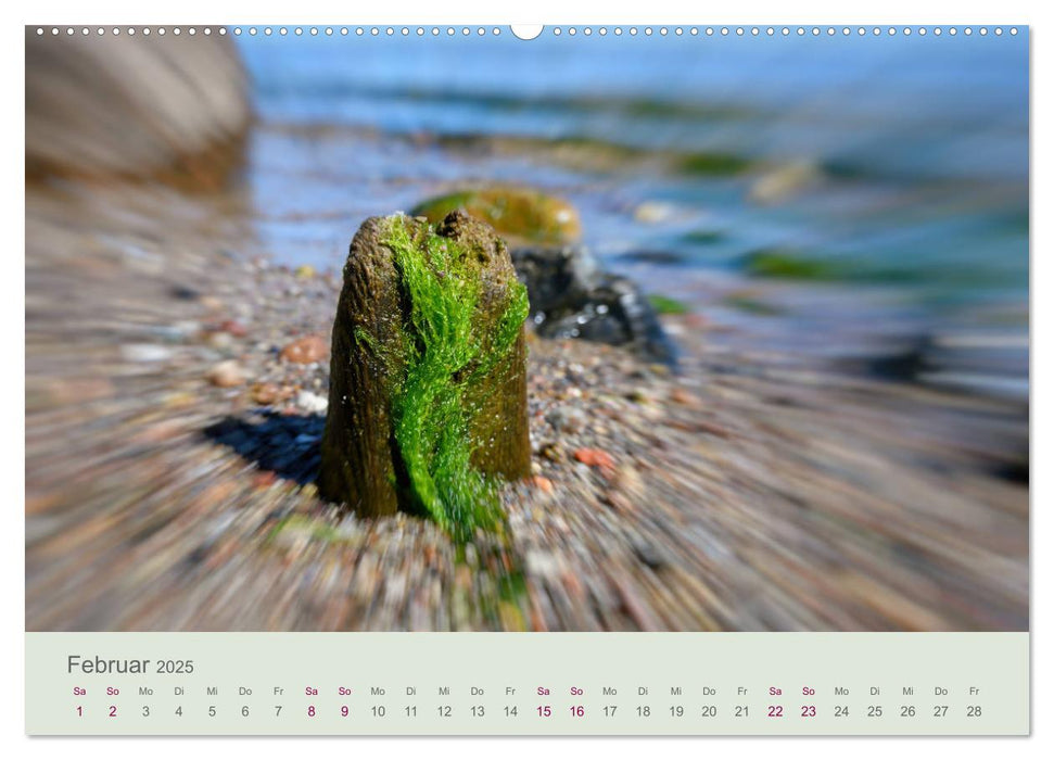 Bewegende Natur (CALVENDO Premium Wandkalender 2025)