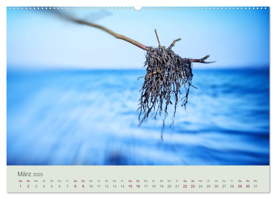 Bewegende Natur (CALVENDO Premium Wandkalender 2025)