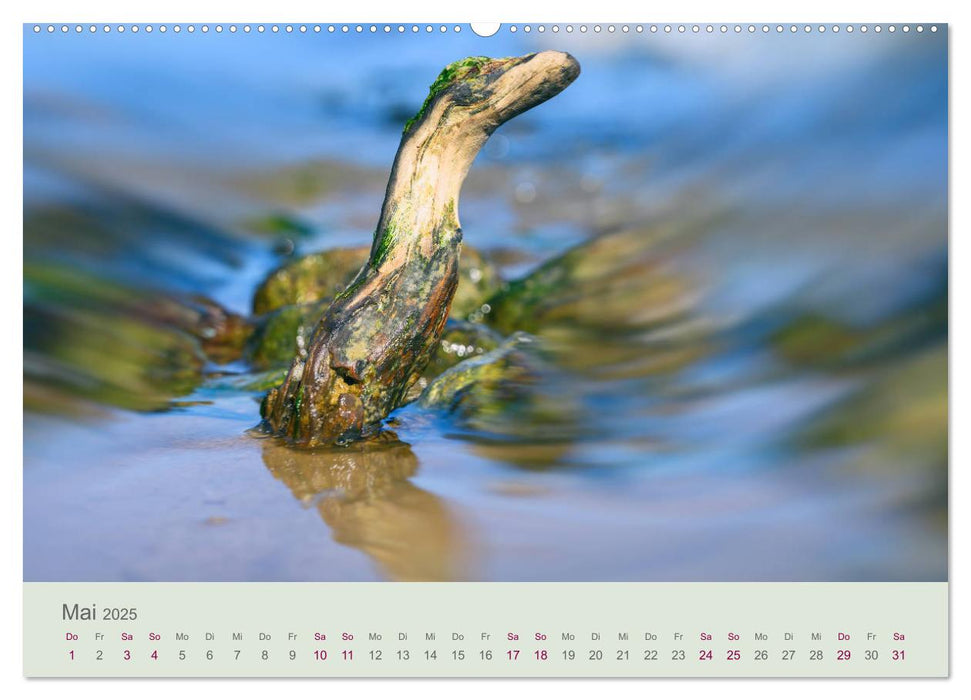 Bewegende Natur (CALVENDO Premium Wandkalender 2025)