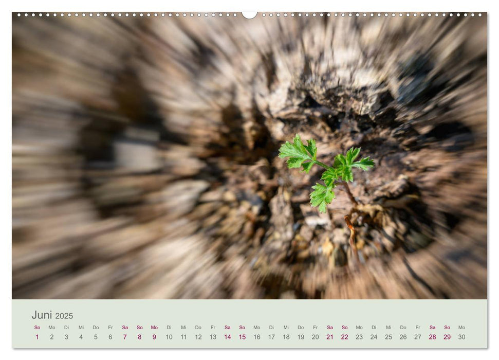 Bewegende Natur (CALVENDO Premium Wandkalender 2025)