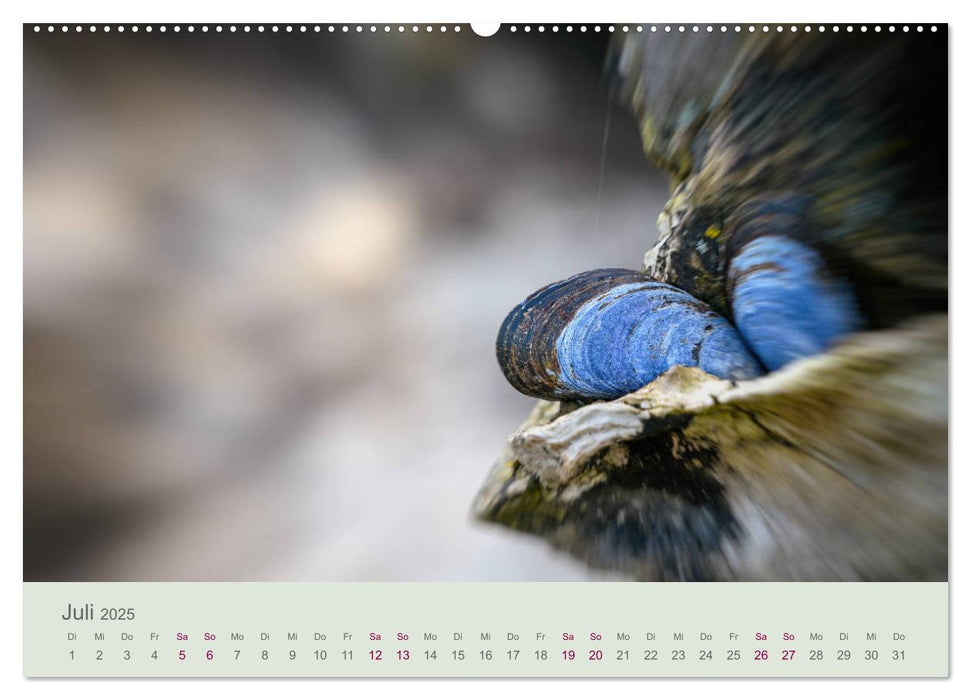 Bewegende Natur (CALVENDO Premium Wandkalender 2025)