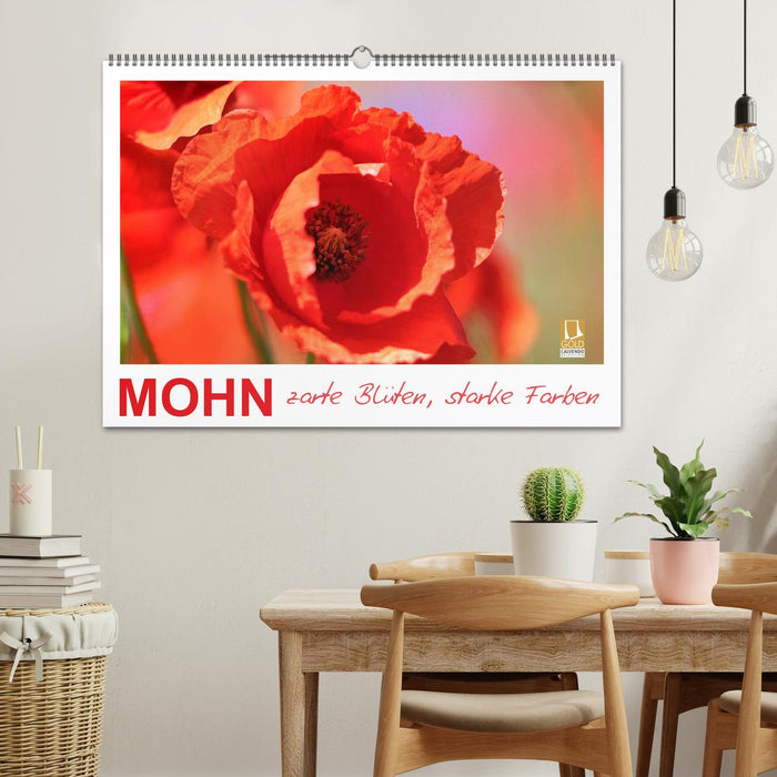 Mohn, zarte Blüten, starke Farben (CALVENDO Wandkalender 2025)