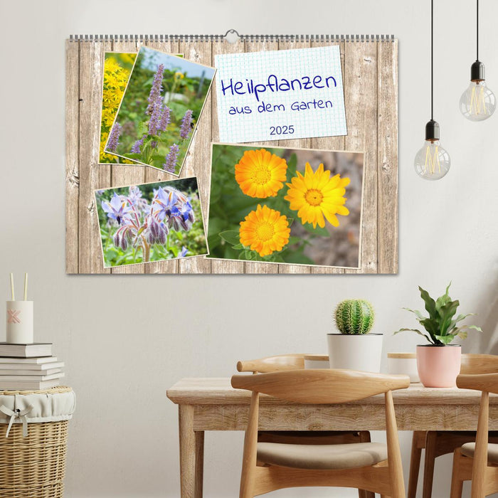 Heilpflanzen aus dem Garten (CALVENDO Wandkalender 2025)