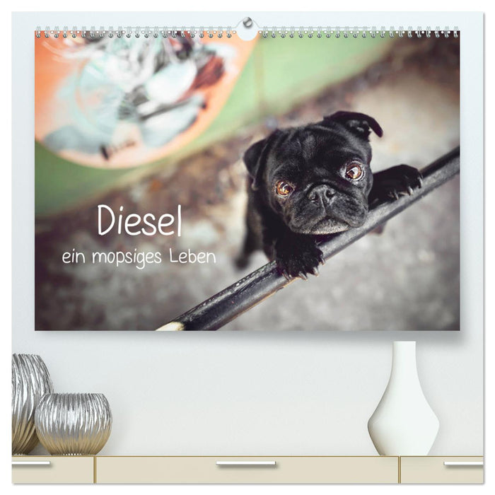 Diesel - ein mopsiges Leben (CALVENDO Premium Wandkalender 2025)