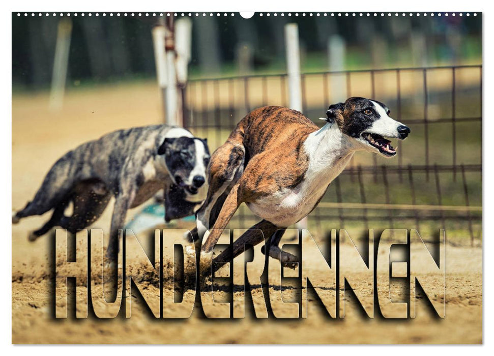 Hunderennen (CALVENDO Wandkalender 2025)