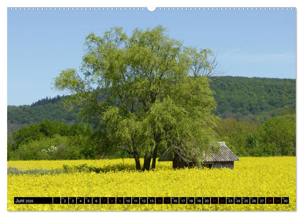 Badisch sympathisch Weingarten (CALVENDO Wandkalender 2025)