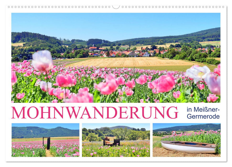 Mohnwanderung in Meißner-Germerode (CALVENDO Wandkalender 2025)