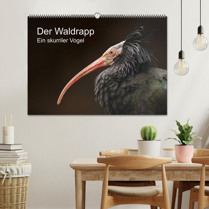 Der Waldrapp - Ein skurriler Vogel (CALVENDO Wandkalender 2025)