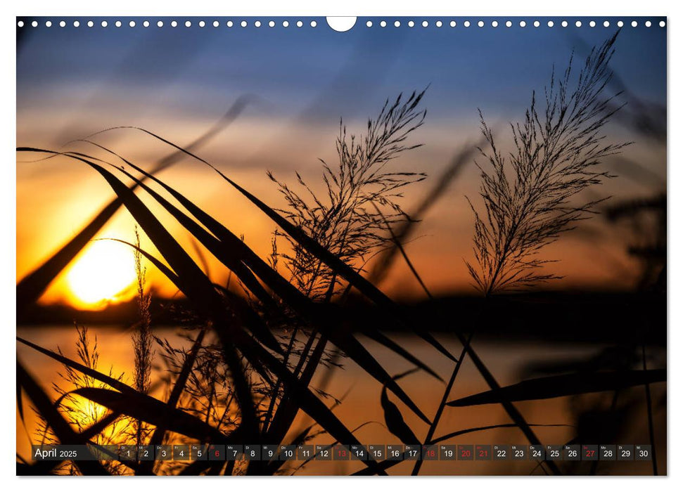 Epische Sonnenuntergänge im Rhein-Neckar-Kreis (CALVENDO Wandkalender 2025)