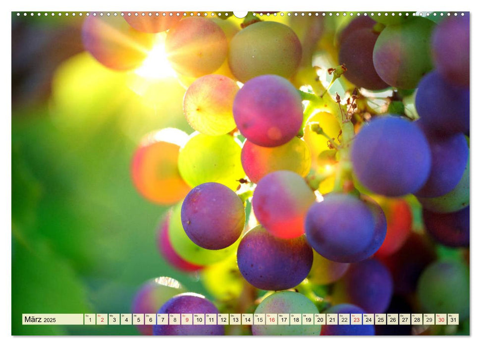 Trauben-Genuss. Aromatische Weintrauben und süße Tafeltrauben (CALVENDO Premium Wandkalender 2025)