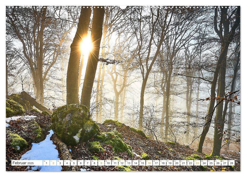 Bäume im Altmühltal (CALVENDO Premium Wandkalender 2025)