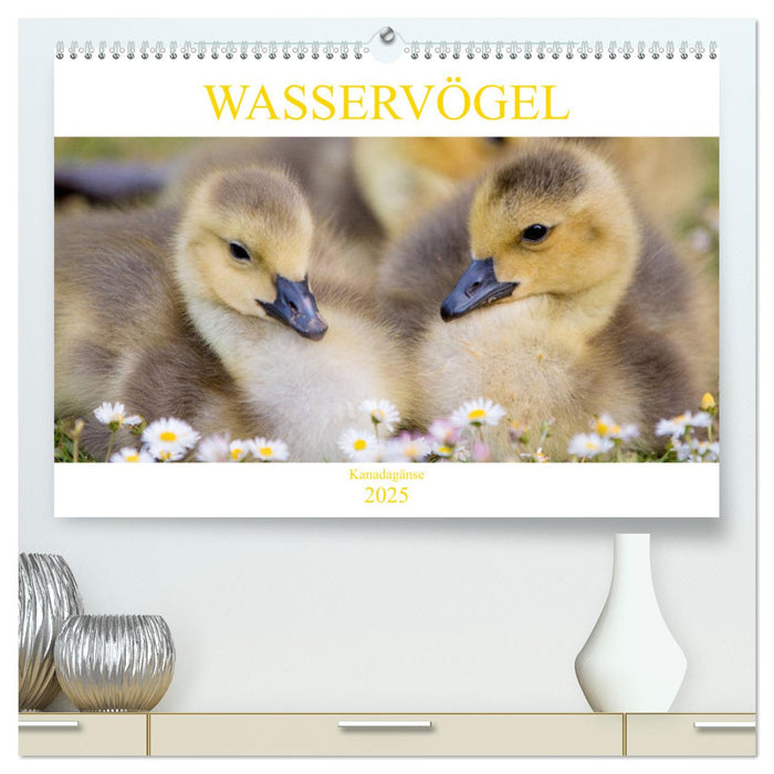 Wasservögel - Kanadagänse (CALVENDO Premium Wandkalender 2025)