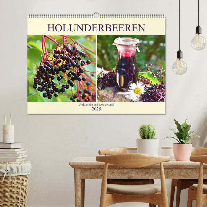 Holunderbeeren. Uralt, schön und sooo gesund! (CALVENDO Wandkalender 2025)