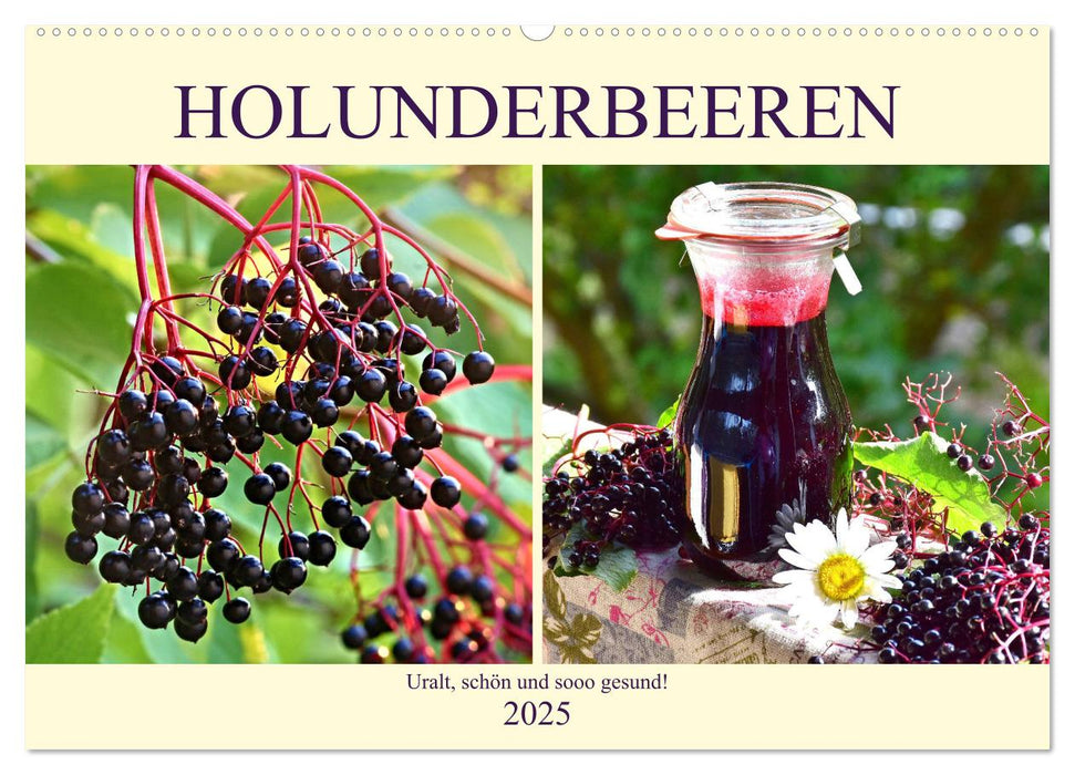 Holunderbeeren. Uralt, schön und sooo gesund! (CALVENDO Wandkalender 2025)