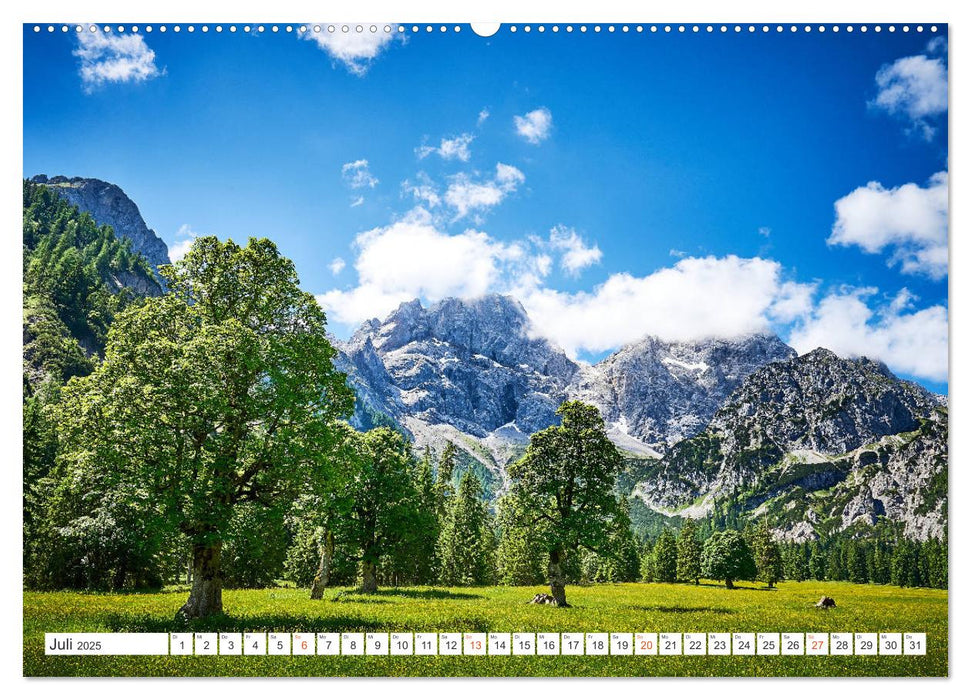 Wege durch die Alpen (CALVENDO Premium Wandkalender 2025)