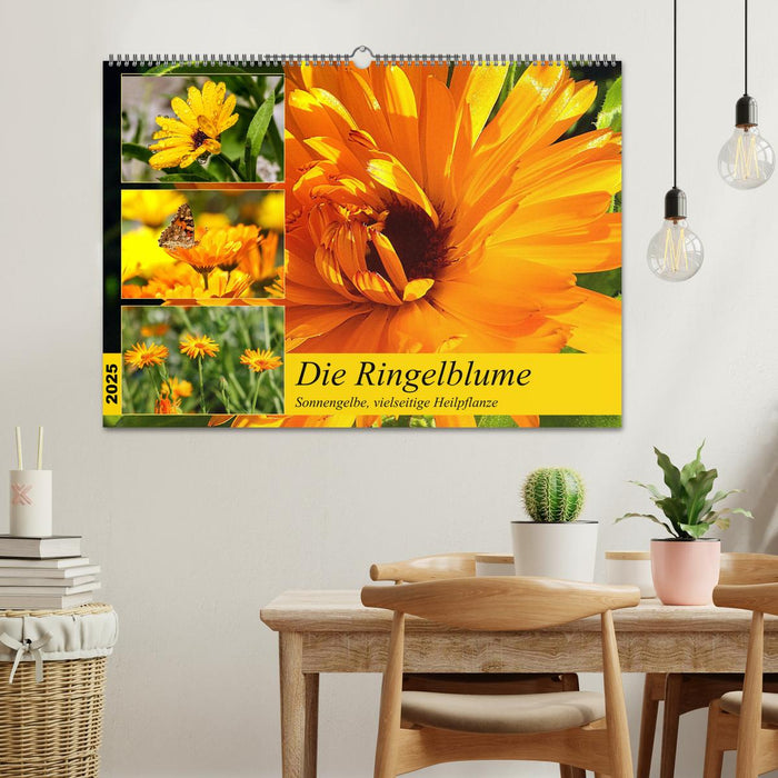 Die Ringelblume. Sonnengelbe, vielseitige Heilpflanze (CALVENDO Wandkalender 2025)