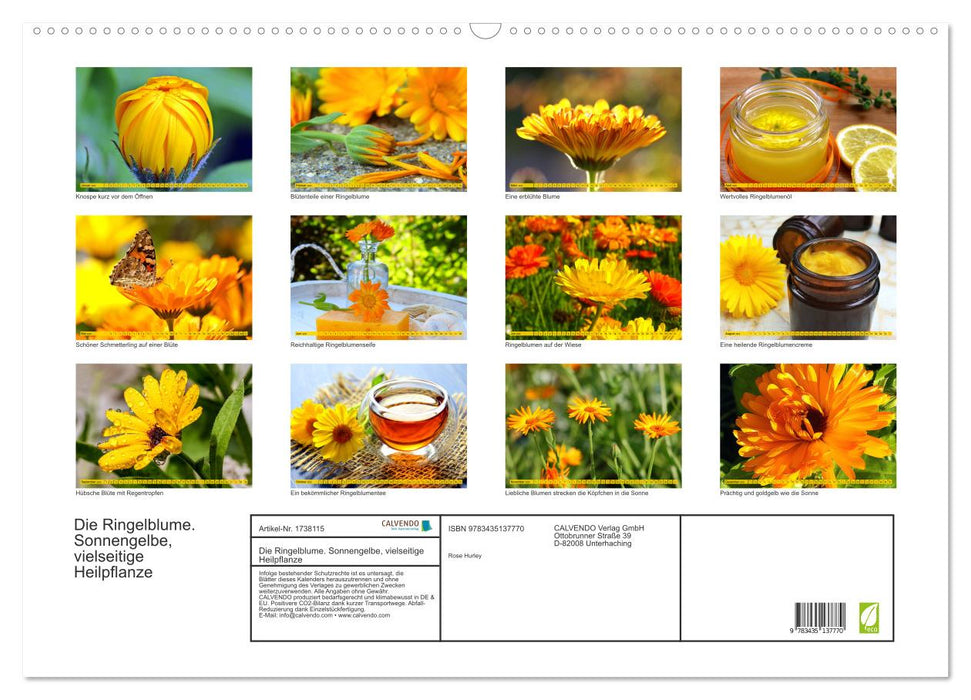 Die Ringelblume. Sonnengelbe, vielseitige Heilpflanze (CALVENDO Wandkalender 2025)