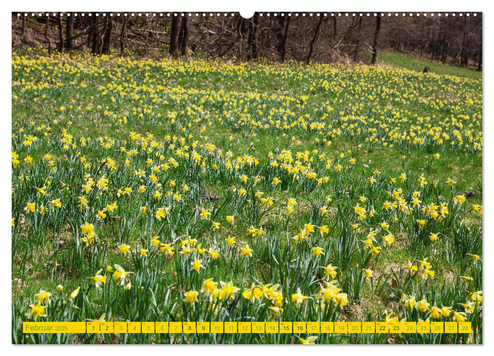 Eifel Sehnsucht (CALVENDO Premium Wandkalender 2025)