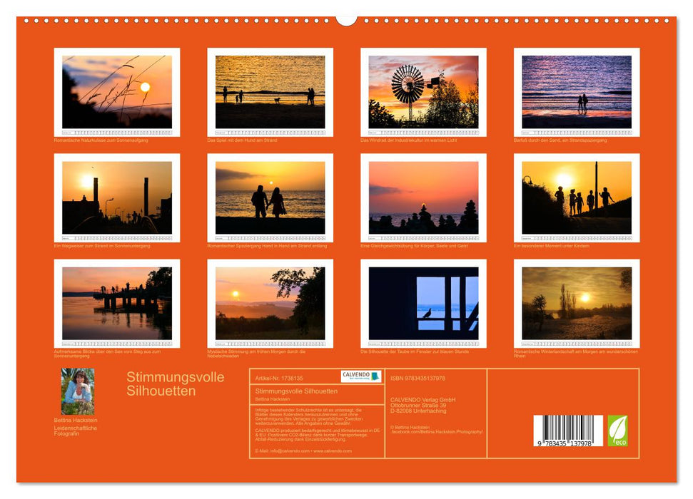 Stimmungsvolle Silhouetten (CALVENDO Premium Wandkalender 2025)