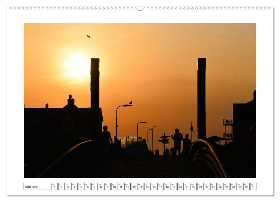 Stimmungsvolle Silhouetten (CALVENDO Premium Wandkalender 2025)