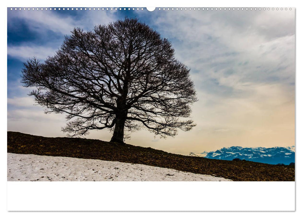 Alpen (Schweiz, Österreich, Italien) (CALVENDO Premium Wandkalender 2025)