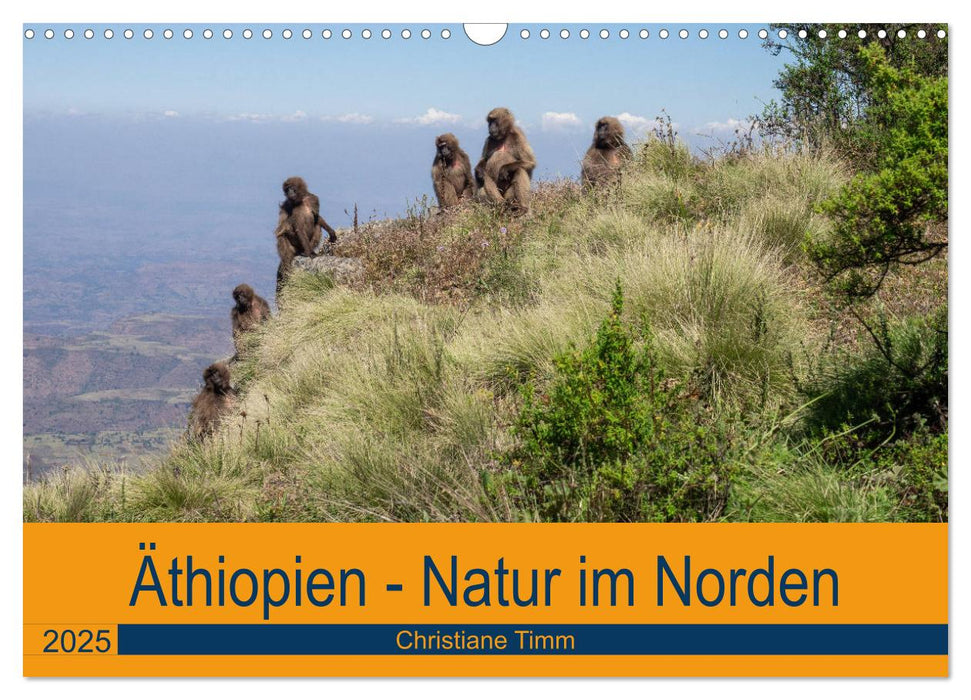 Äthiopien - Natur im Norden (CALVENDO Wandkalender 2025)