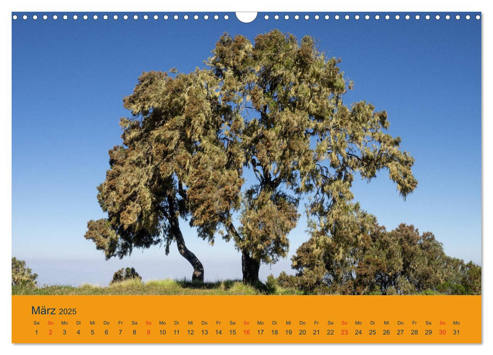 Äthiopien - Natur im Norden (CALVENDO Wandkalender 2025)