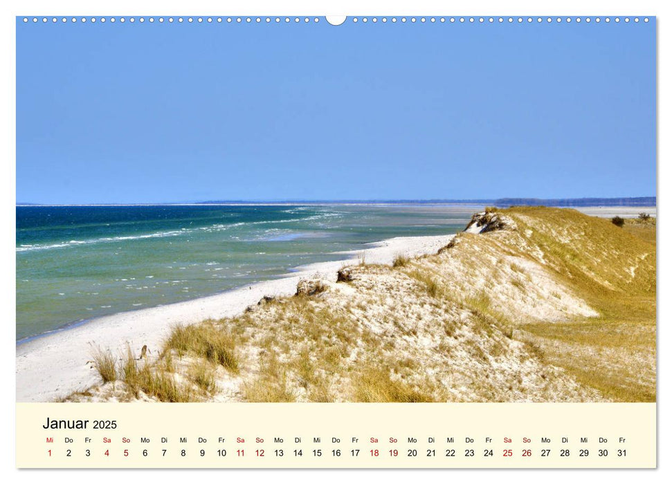 Strände auf dem Fischland-Darß (CALVENDO Premium Wandkalender 2025)